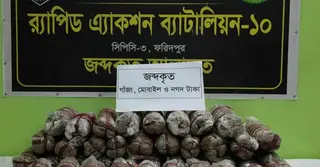 ফরিদপুরে ২১ কেজি গাঁজাসহ দম্পতি গ্রেপ্তার